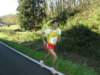 sdc10552_small.jpg