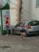 dsc00461_small.jpg