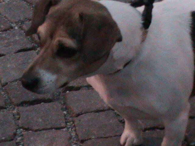 dsc00591.jpg