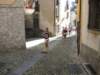 img_4566_small.jpg