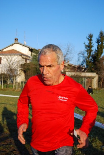 v241.jpg