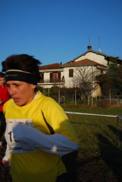 v731.jpg