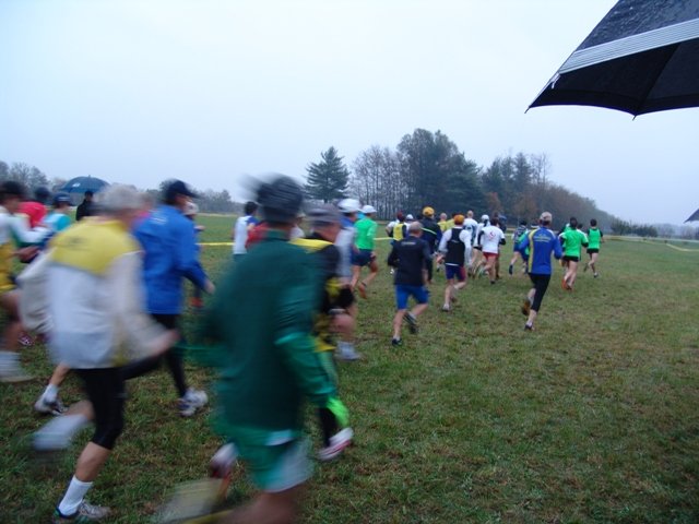 _cross09.jpg