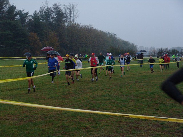 _cross11.jpg