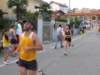 verunoserale29072009045_small.jpg