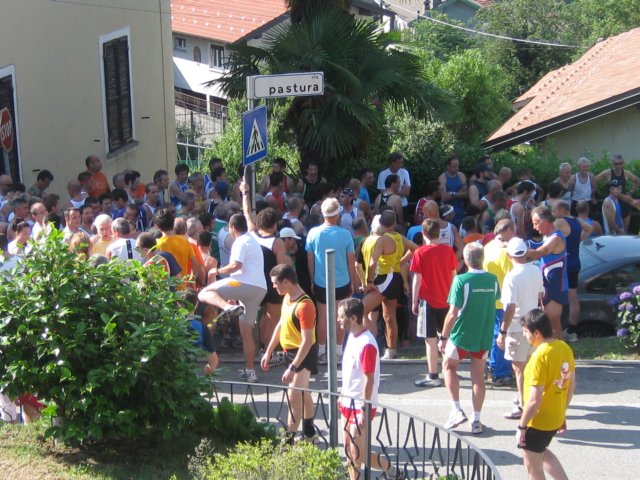 vignone14062oo9113.jpg